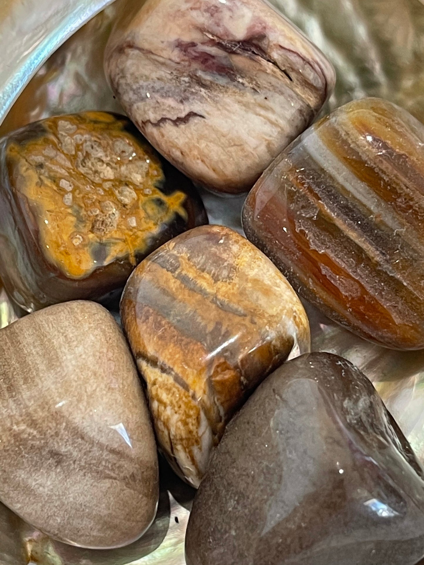 Tumbled Petrified Wood
