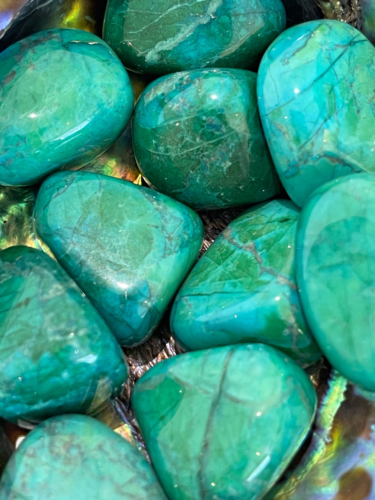 Tumbled Chrysocolla Howlite