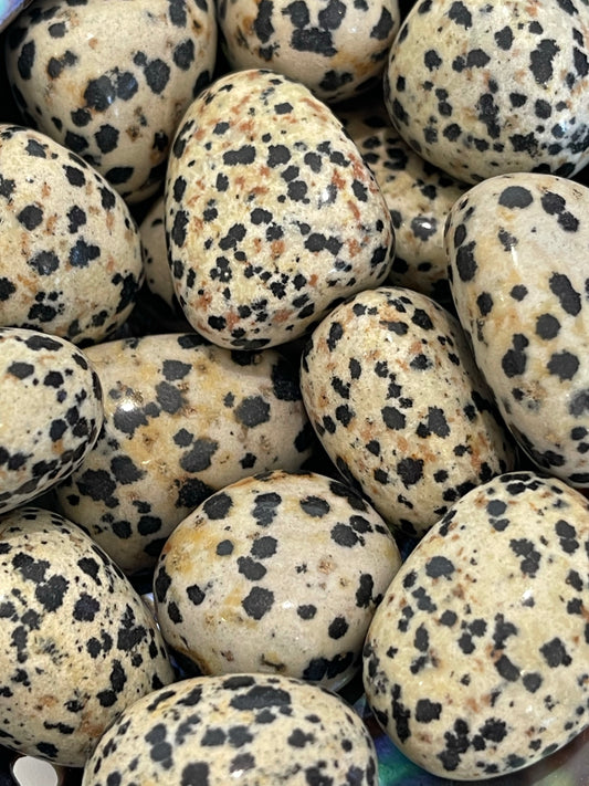 Tumbled Dalmatian Jasper